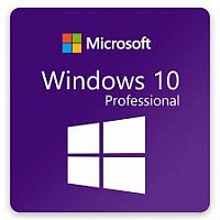 Windows 10 Professional