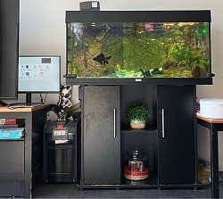 Setup
